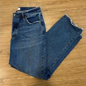 Curve Love The Dad High Rise Jean